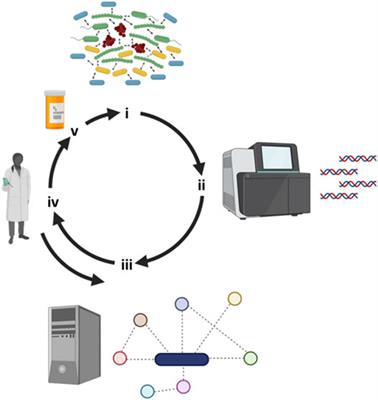 Metabolic Modeling to Interrogate Microbial Disease: A Tale for Experimentalists